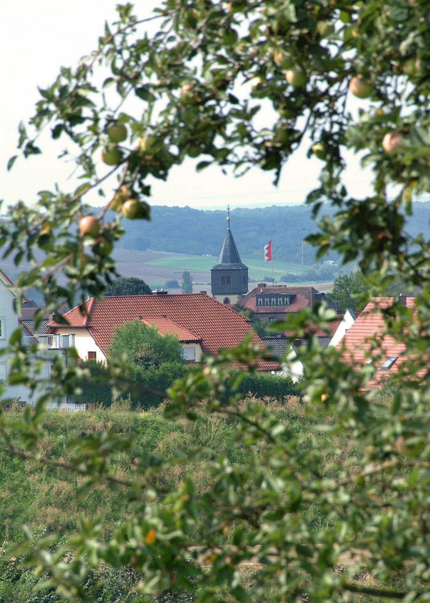 Hotel Leicht Biebelried Esterno foto